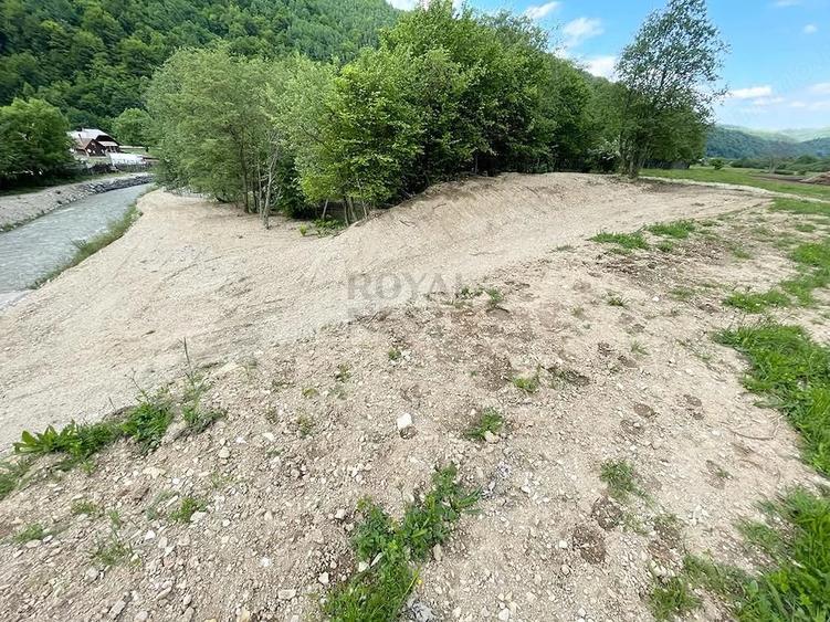 Teren de 12150 mp, în Plaiul Foii