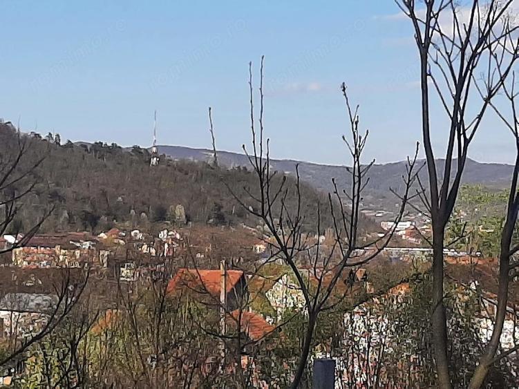 Teren de 11500 mp, în Morilor