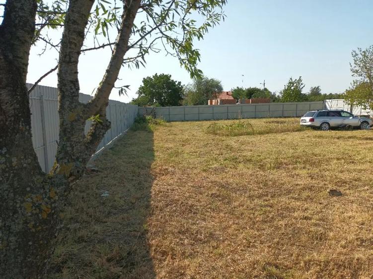 Teren de 900 mp, în Valea Largă