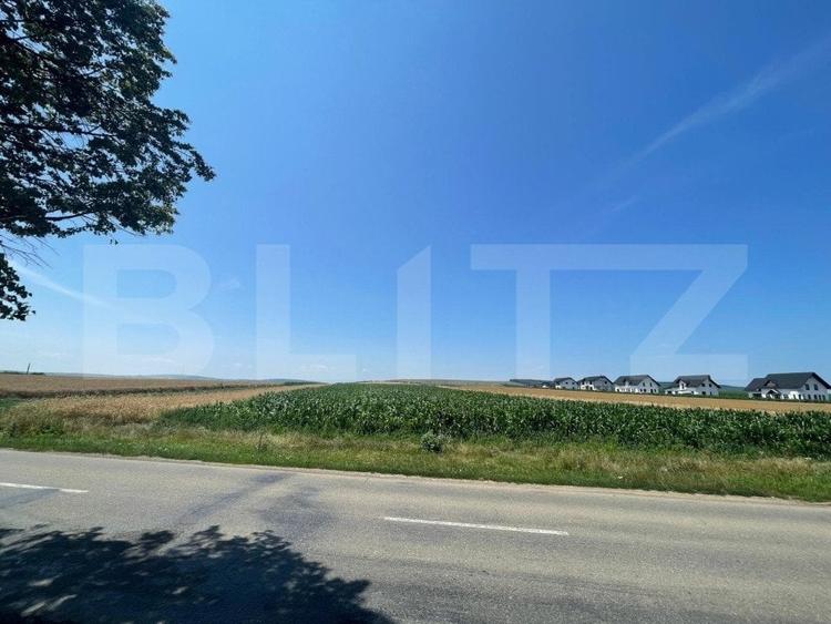 Teren Construcții intravilan de 10300 mp, în Exterior Nord