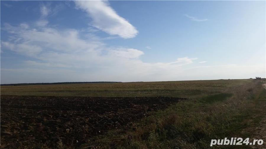 Teren agricol zona Gradinari langa balta Hobaia - Accept Schimburi - 6