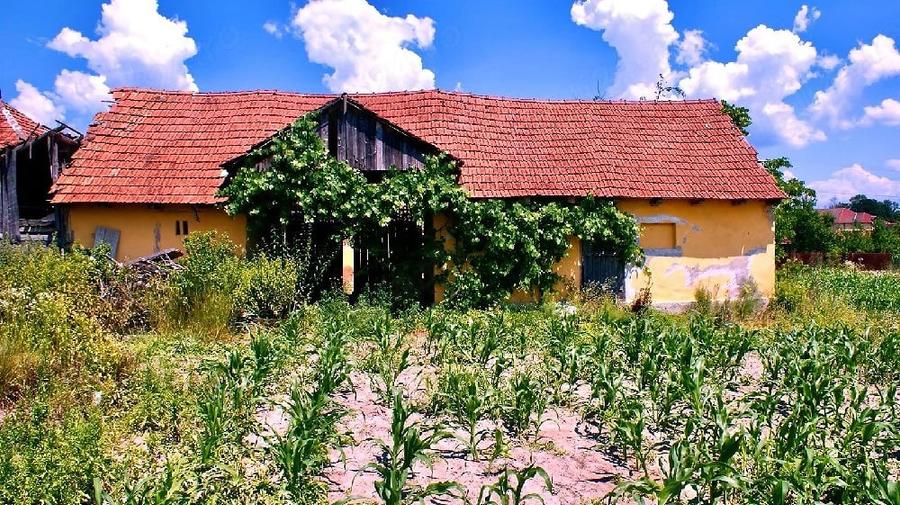 Casă cu Teren 2880 Mp în Cil