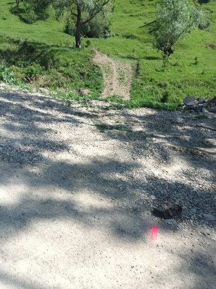 Teren de 18200 mp, în Poiana