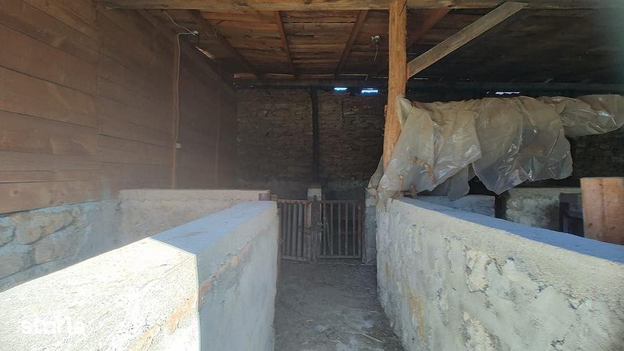 Casă cu 2 camere cu Teren 1330 Mp în Rapoltu Mare