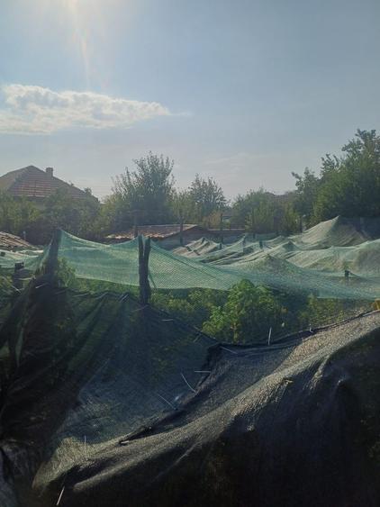 Casă cu 4 camere în Moțăței