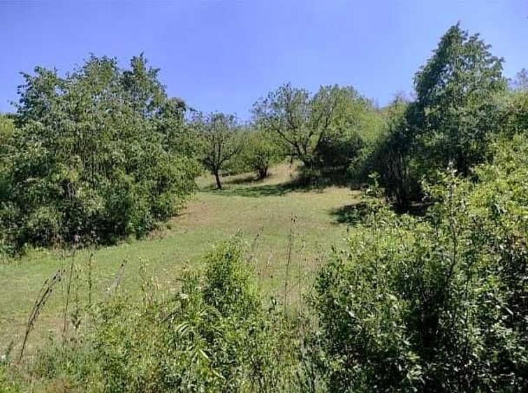 Spațiu comercial, în Valea Călugărească