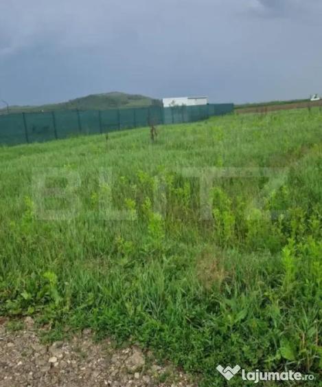 Teren pentru casa intravilan , 800 mp deschidere la drum Bod - 3