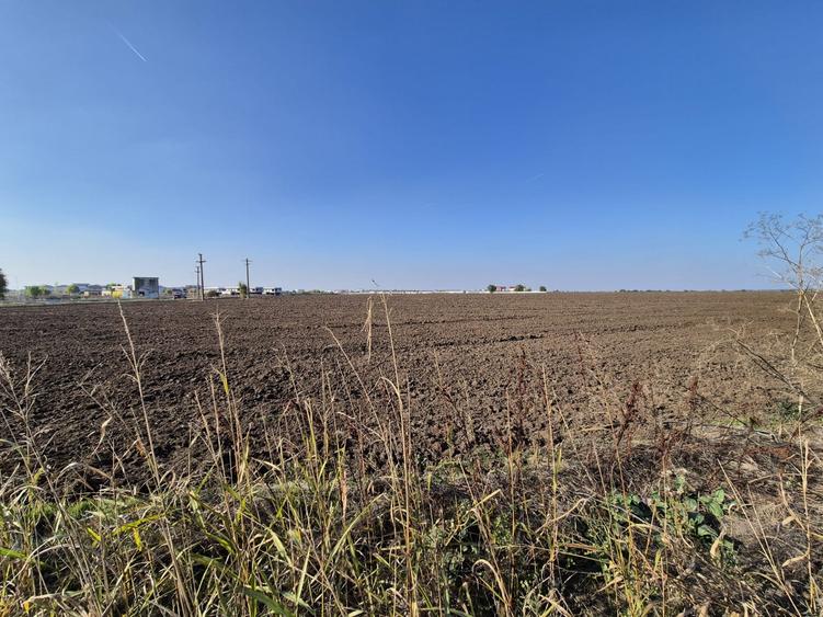 Teren Construcții intravilan de 9988 mp, în Tunari