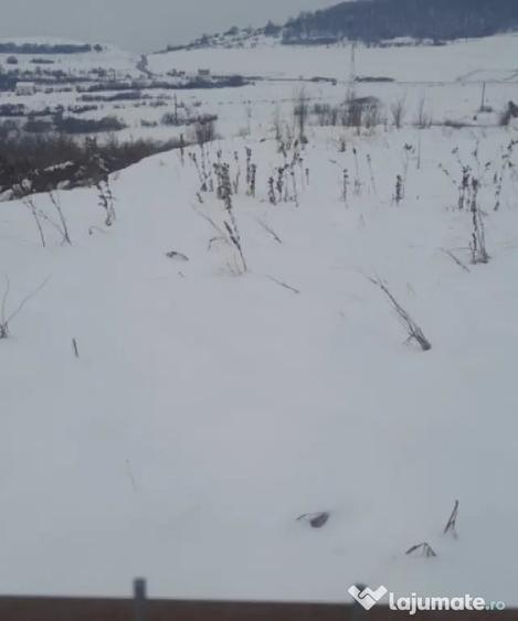 Teren în Cordos