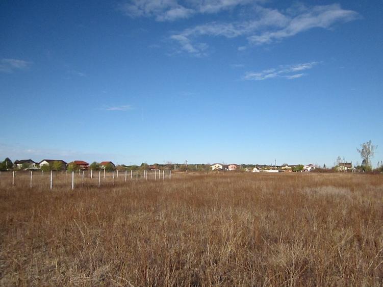Teren Construcții intravilan de 856 mp, în Domnești