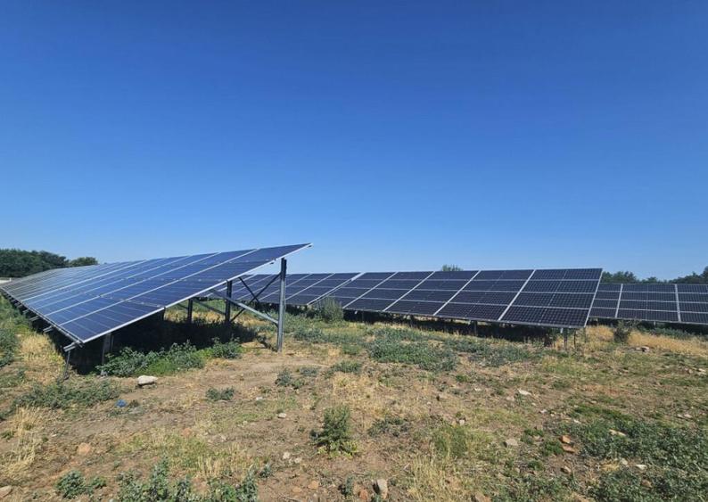Proprietate agroindustriala, hala 1590 mp, teren 28000 mp, p - 8