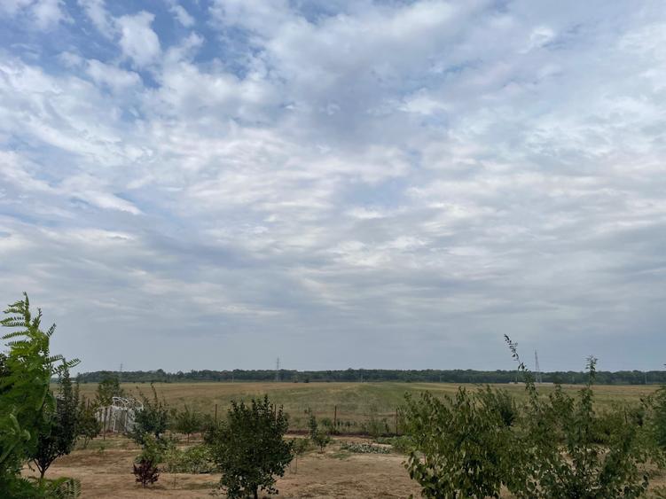 Teren de 5000 mp, în Periș