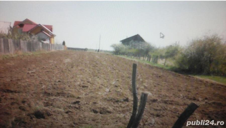 Teren de 2078 mp, în Milcov