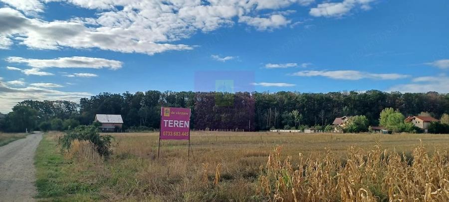 Teren de 11157 mp, în Gulia