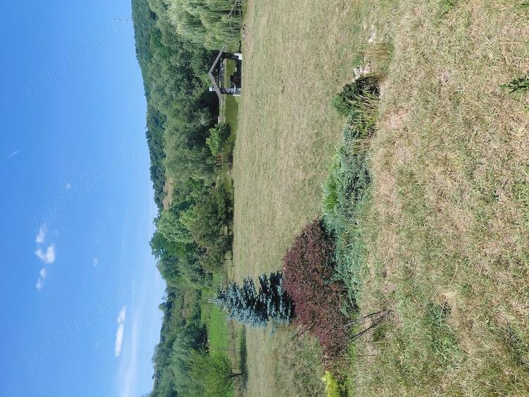 Teren de 3600 mp, în Vultureni