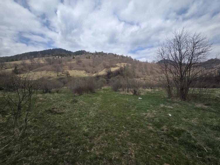 Teren de 28000 mp, în Tulgheș