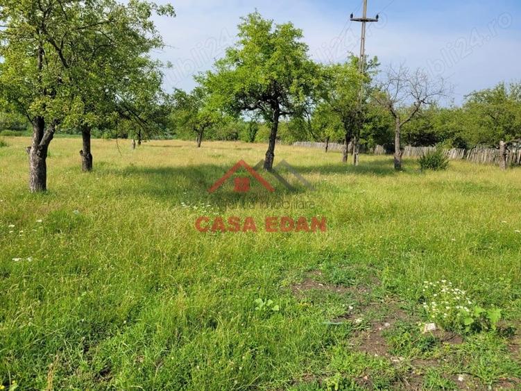 Casă cu Teren 1490 Mp în Voila
