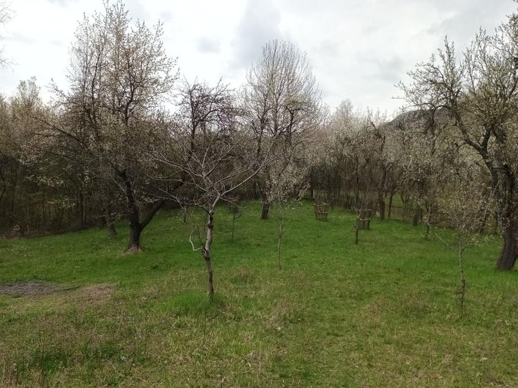 Teren de 10600 mp, în Berislăvești