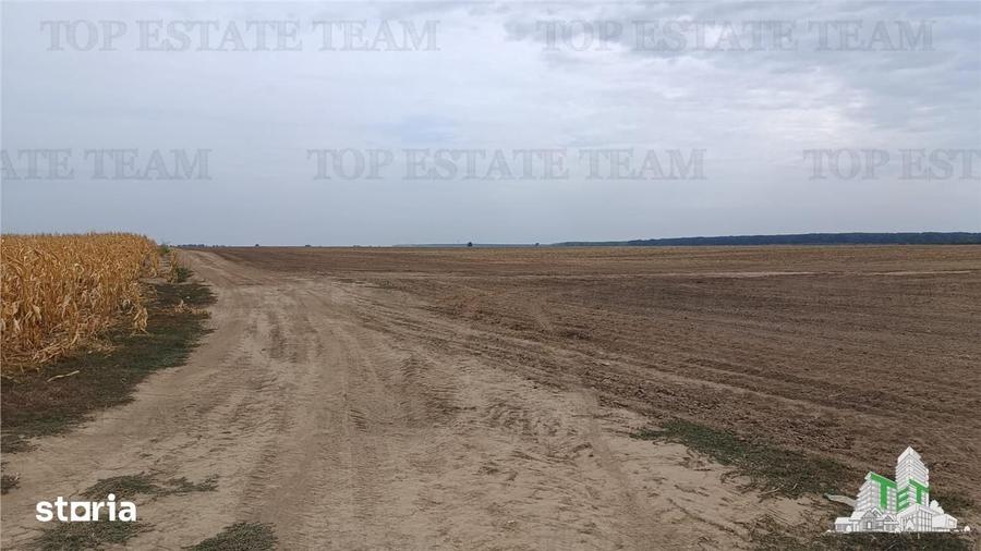 Teren de 81906 mp, în Petrăchioaia