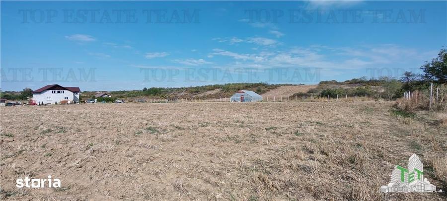 Casă cu 7 camere cu Teren 33000 Mp în Militari