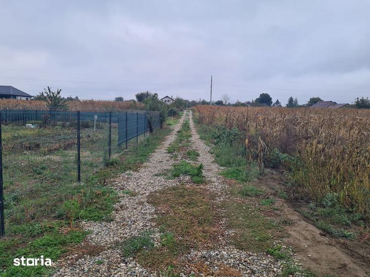 Teren de 1100 mp, în Central
