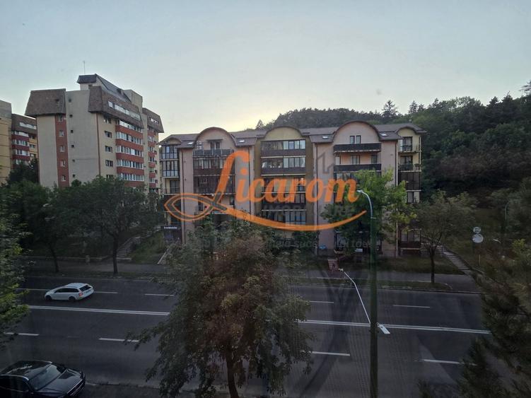 Apartament 3 camere Carpatilor aproape de Spitalul Judetean - 8