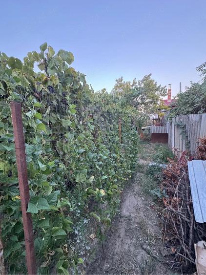 de vanzare casa in calea sagului - 4