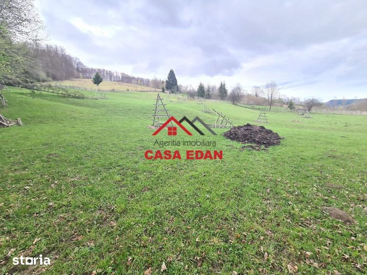 Teren de 20500 mp, în Valea Doftanei