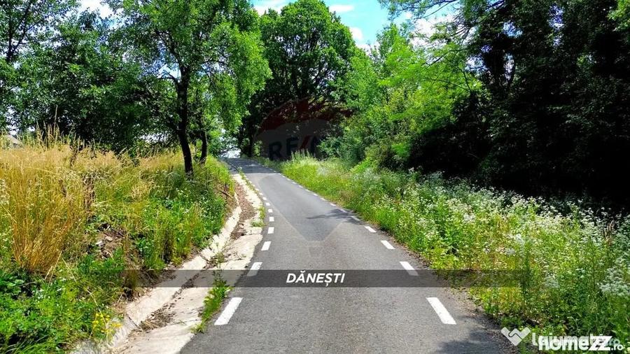 Teren în Dănești