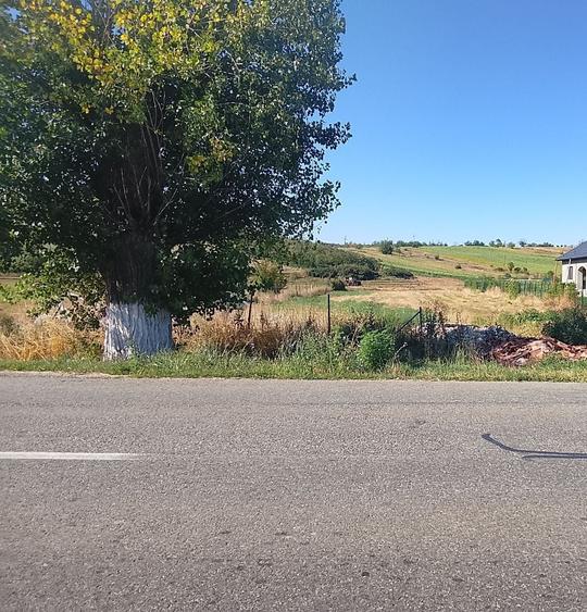 Teren intravilan Predesti - 1
