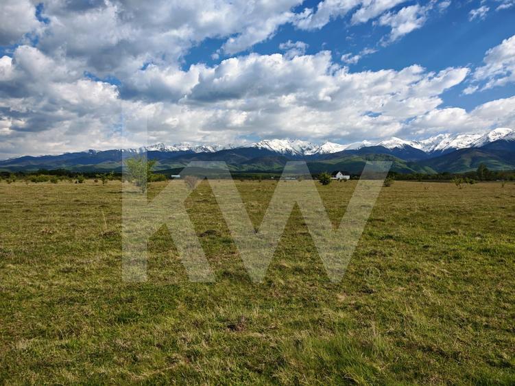 Teren agricol intravilan de 21573.5 mp, în Avrig
