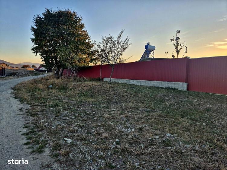 Spațiu comercial, în Cărpiniș