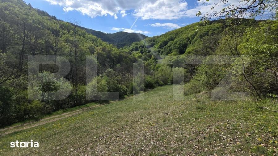 Teren de 9083 mp, în Meteș
