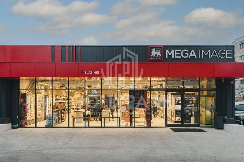 Spațiu comercial, de 461 mp, în Dacia