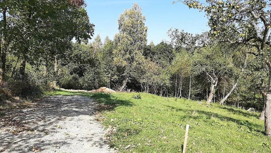 teren intravilan de vanzare - 4