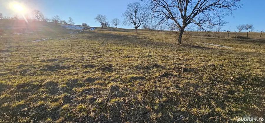 Teren de 3100 mp, în Dumitra