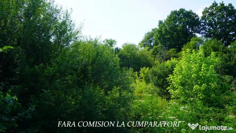 Casă cu 4 camere cu Teren 1730 Mp în Mihăești