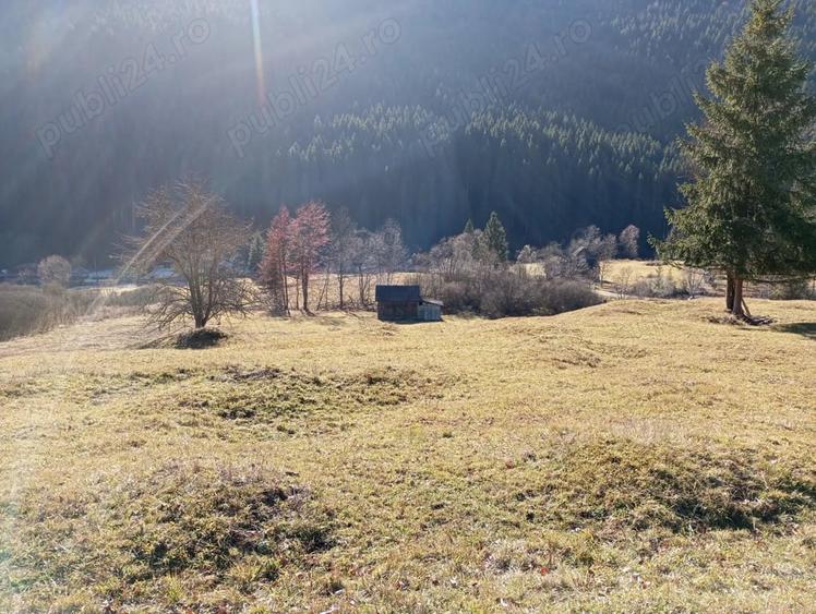 Teren de 17707 mp, în Grințieș