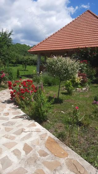 Casă cu 4 camere cu Teren 1415 Mp în Drajna