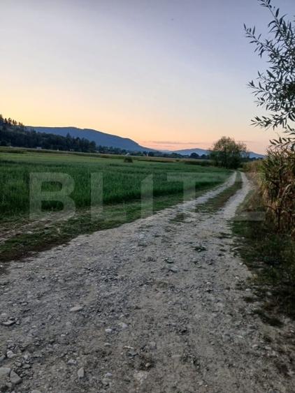 Teren Construcții intravilan de 2818 mp, în Capu Câmpului