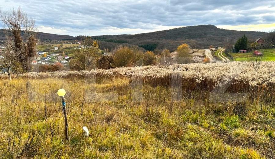 Teren Construcții extravilan de 2400 mp, în Nord