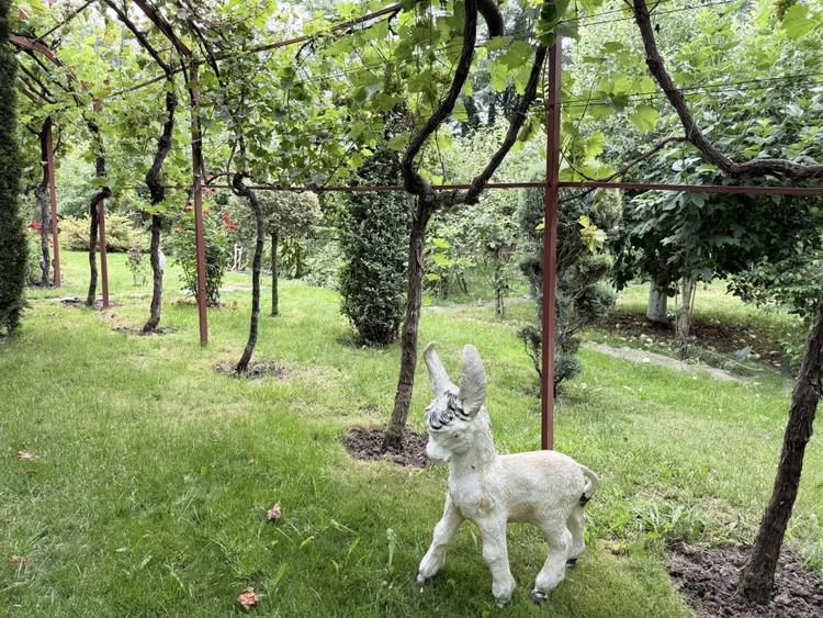 Casă individuală cu 3 camere cu Teren 2405 Mp în Poarta Albă