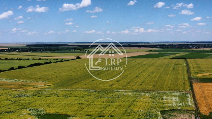Teren Construcții intravilan de 20000 mp, în Creața