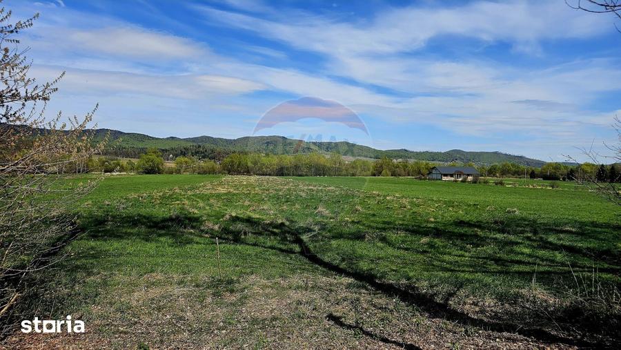 Teren de 10000 mp, în Vânători-Neamț