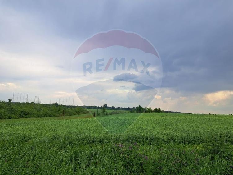 Teren Construcții intravilan de 15000 mp, în Ciolpani