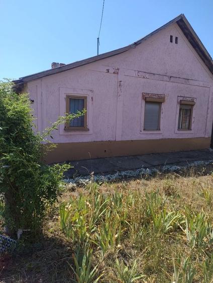 Casă cu 3 camere în Peregu Mic
