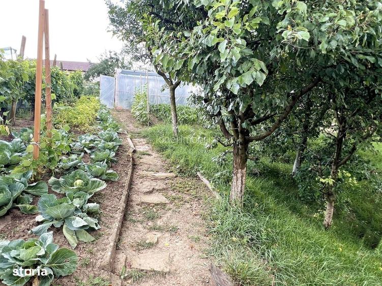 Vanzare casa in Sona
