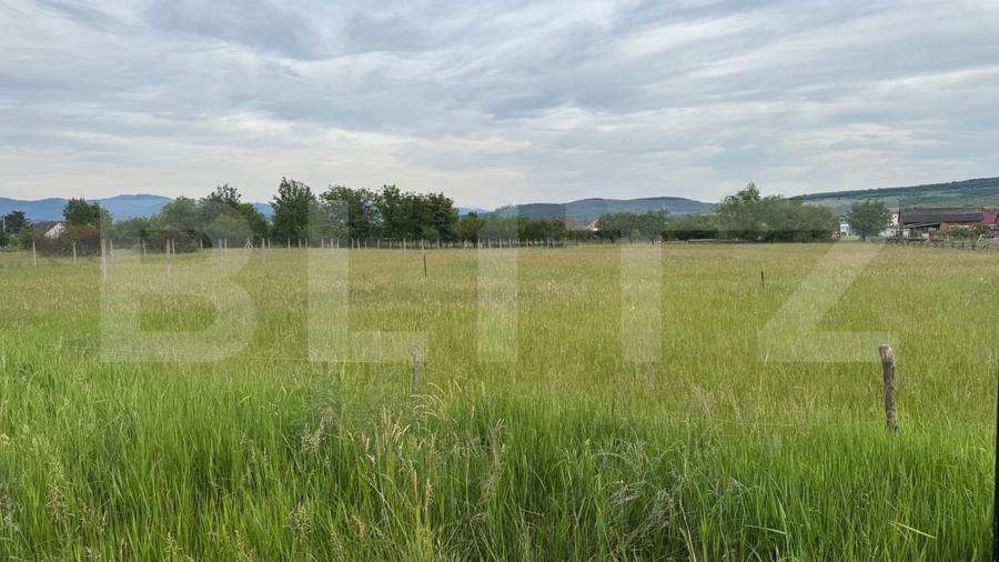 Teren Construcții intravilan de 1100 mp, în Livezile