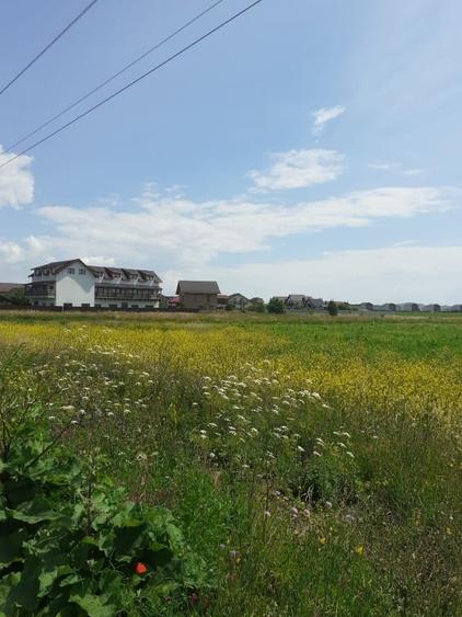 Teren Construcții intravilan de 1266 mp, în Bod