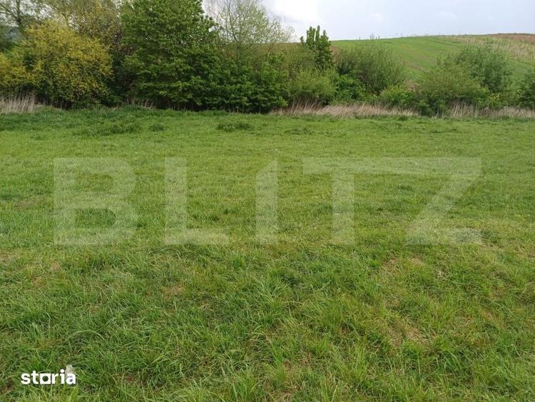 Teren de 5000 mp, în Bosanci